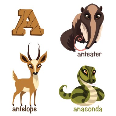 Alfabe hayvanlar. Karınca yiyen, anaconda, antilop.