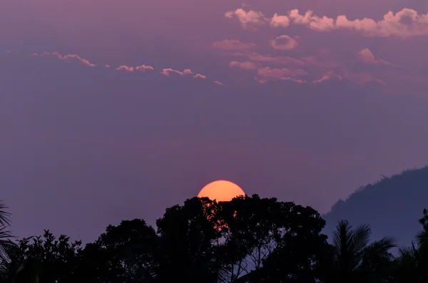 Nascer do sol com árvore silhueta — Fotografia de Stock