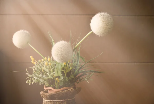 Stillife dandelions ile — Stok fotoğraf