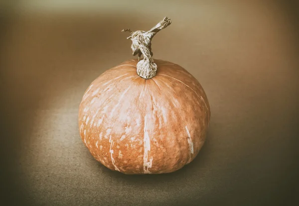 Bodegón con calabaza — Foto de Stock