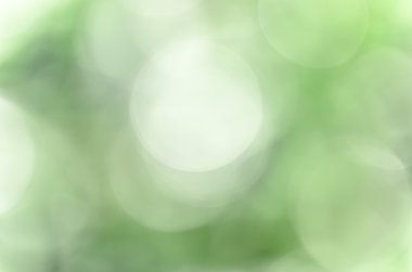 doğal kaynak ormanı bokeh