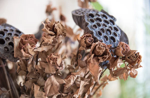 Dried roses and lotus seed pods — Stock Photo, Image