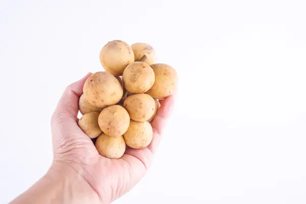 Wollongong фрукты в руке — стоковое фото