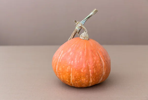 Calabaza naranja — Foto de Stock