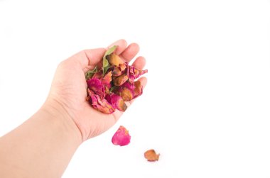 Bir kadın elinde kurutulmuş gül yaprakları