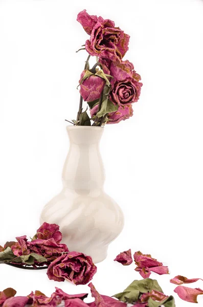 Strauß getrockneter Rosen in einem Glas — Stockfoto