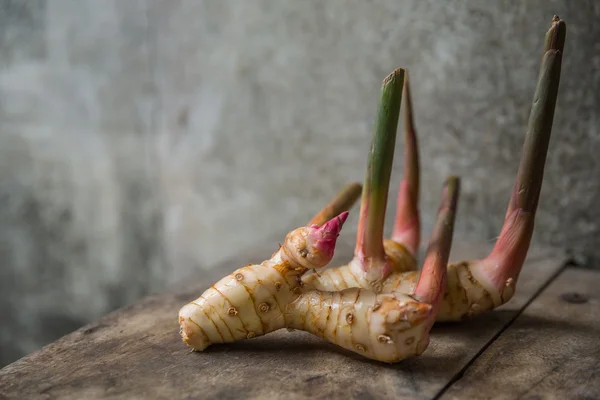 Galangal on wooden table — Stock Photo, Image