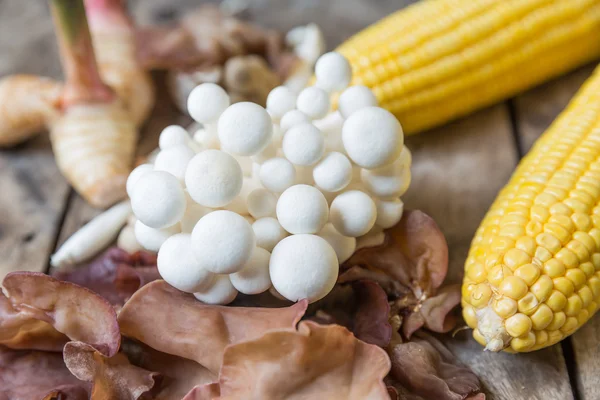 Espigas de milho frescas com cogumelos — Fotografia de Stock