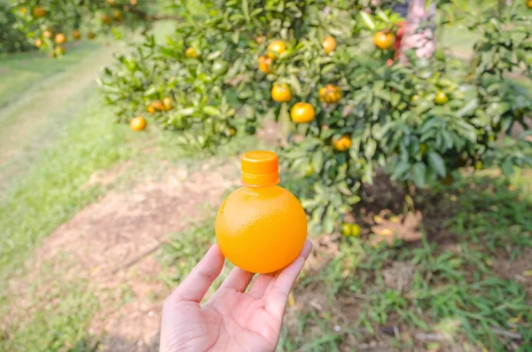 orange juice bottle in hand
