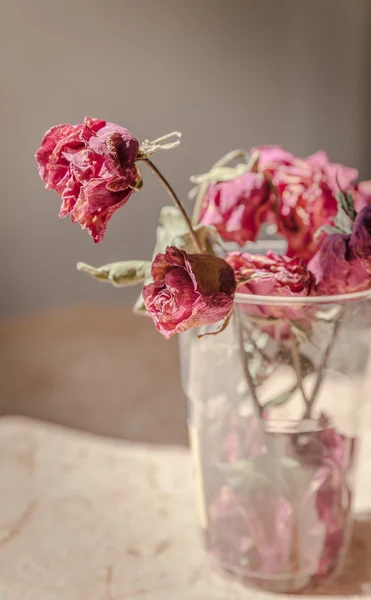 Withered roses in a vase