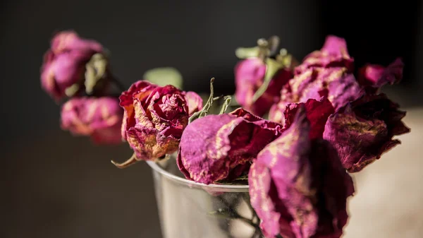 Withered roses in a vase