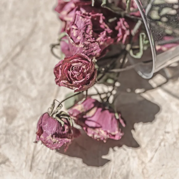 Withered roses in Vintage Style — Stock Photo, Image