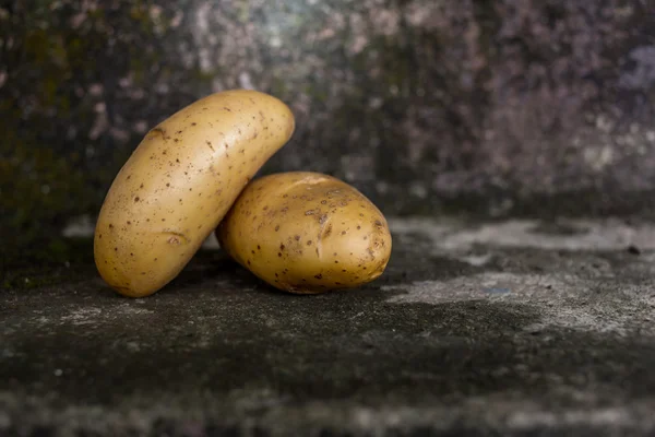 Два сырых картофеля — стоковое фото