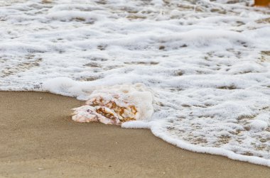 Deniz dalga yumuşak