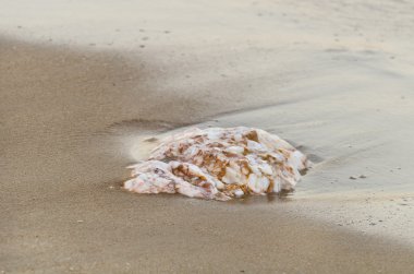 Kayanın üzerinde bir kum plajı