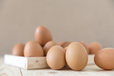 tavuk yumurtası, seçici odak