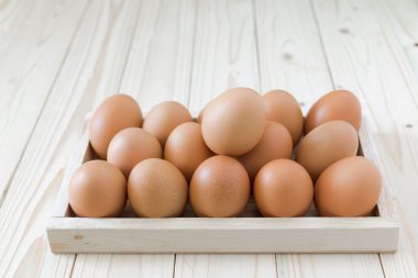 tahta kutu tavuk yumurta
