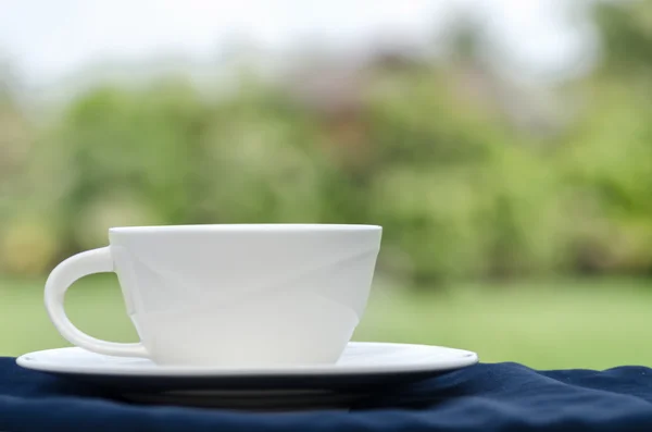 Coffee Cup-nature background — Stock Photo, Image