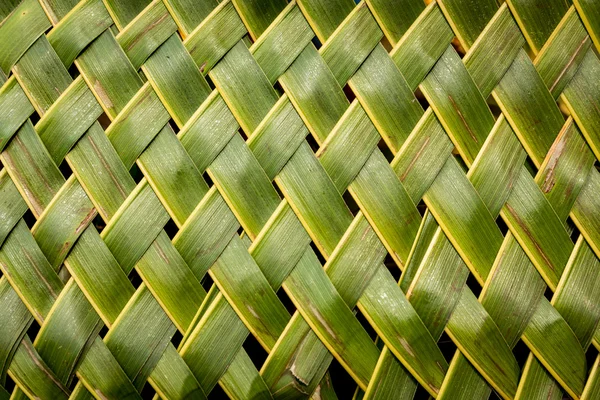 Pared de bambú de estilo tailandés nativo — Foto de Stock
