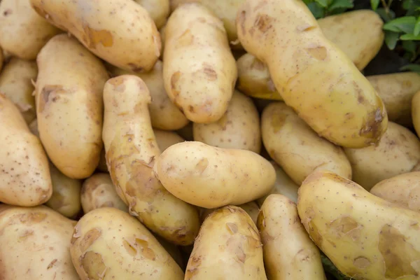 Свежий органический молодой картофель продается на рынке — стоковое фото