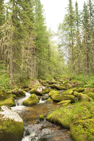 Agua que fluye sobre piedras cubiertas de musgo. Un arroyo de montaña — Foto de Stock