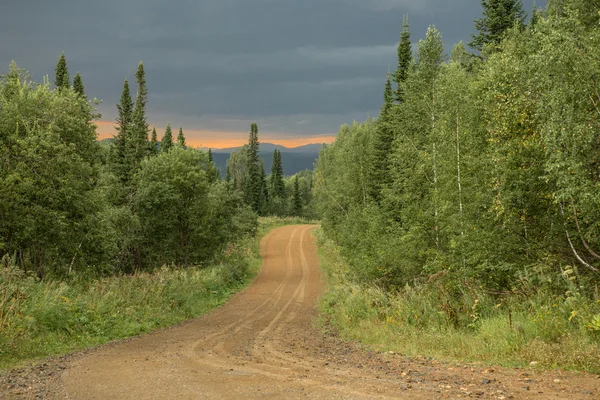 Coucher de soleil après une forte pluie dans les bois sur la route de campagne — Photo