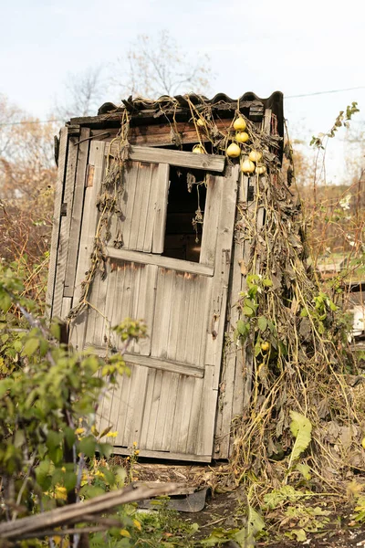 Rural old wooden toilet in the village — Stock Image Rural Old Wooden Toilet Village Stock Photo
