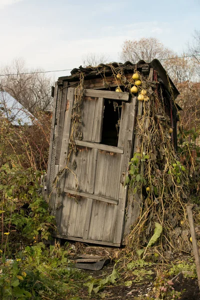 Rural old wooden toilet in the village — Stock Image Rural Old Wooden Toilet Village Royalty Free Stock Photos