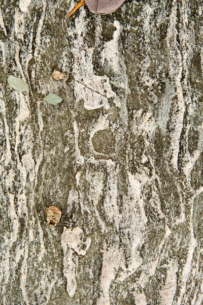 Bunte Felsen Hintergrund Natürliches Muster Auf Stein — Stockfoto