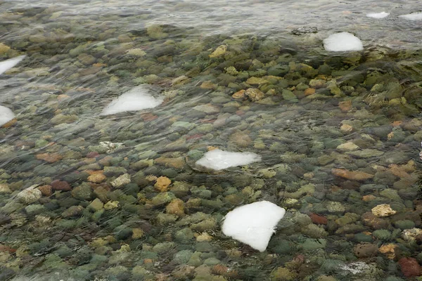 Kristálytiszta Víz Teletskoye Tavon Amelyen Keresztül Láthatjuk Köveket Alján Fekszik — Stock Fotó