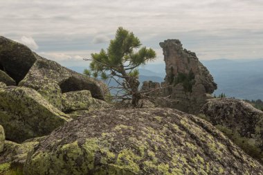 Büyük kurum taşları dağlardaki ormanda, yosunlarla kaplı kayalar ormanın arka planında, dağ manzarasında, yüksek dağlarda yatar...