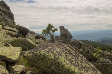 Büyük kurum taşları dağlardaki ormanda, yosunlarla kaplı kayalar ormanın arka planında, dağ manzarasında, yüksek dağlarda yatar...