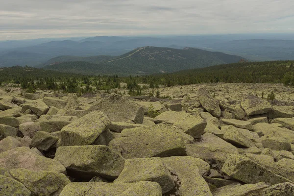 Pedras Grandes Kurum Encontram Floresta Nas Montanhas Pedras Cobertas Com — Fotografia de Stock