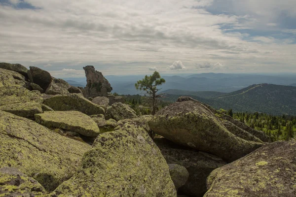 Великі Камені Лежать Лісі Горах Камені Вкриті Мохом Тлі Лісу — стокове фото