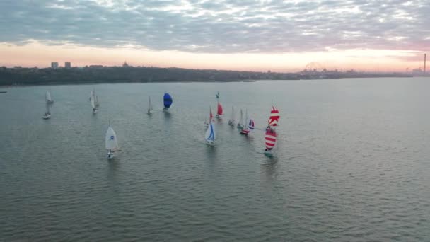 Aerial footage from drone, of professional speed yacht or sailboat leaning to one side, ready to make a maneuvre, wind in mainsail attached to mast, team race or competition, with sun flares. — Stock Video