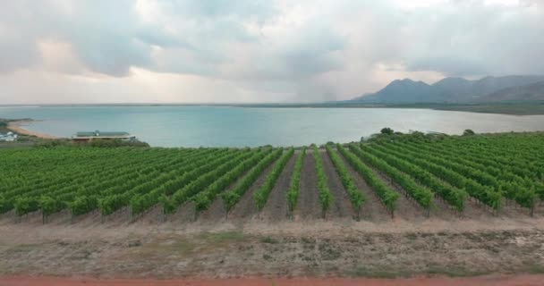 Vista aérea. Granja de vinos en Stellenbosch, Sudáfrica. — Vídeos de Stock