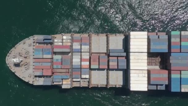 Flygfoto. Stora containerfartyg vid havet. — Stockvideo