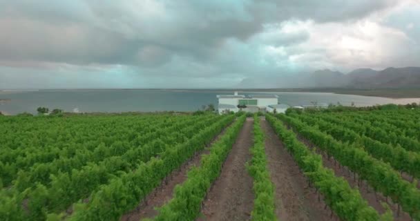 Vista aérea. Granja de vinos en Stellenbosch, Sudáfrica. — Vídeos de Stock