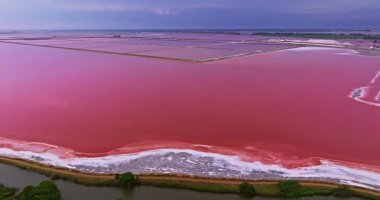 Güneşli bir günde, Fransa 'nın güneyindeki Camargue bölgesinde, pembe tuz gölü yakınlarındaki ortaçağ duvarlı Aigues-Mortes kasabasının havadan görünüşü.