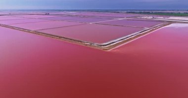 Canlı pembe tuz göletlerinin havadan görünüşü. Tuz Üretimi. Fransa.