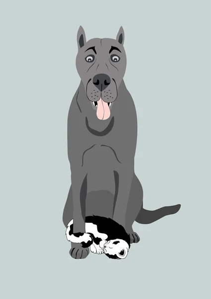 Büyük köpek ve kedicik