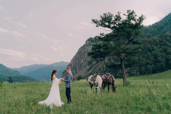 Ein Hochzeitspaar Steht Neben Pferden Auf Einem Gebirgshintergrund — Stockfoto
