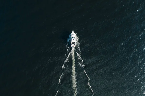 Вид Беспилотника Сверху Паруса Лодки Телецком Озере — стоковое фото