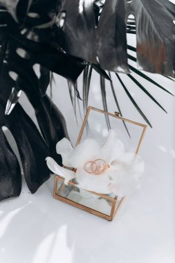 Nişan yüzüklü düğün kutusu.