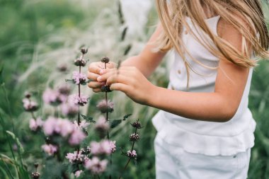 Beyaz elbiseli uzun saçlı kız kır çiçeklerini topluyor.
