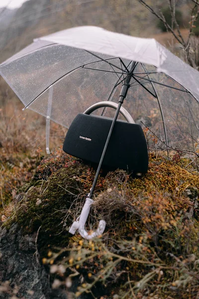 Şeffaf bir şemsiye sonbaharda altındaki şeyleri korur.