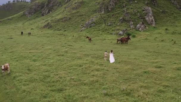 Bride Groom Dress Herd Horses Background Mountains Altai — Stock Video