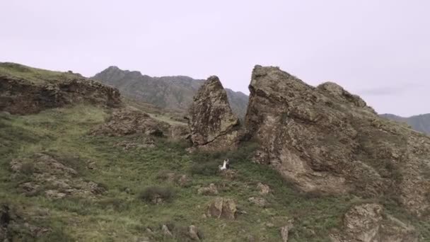Braut Und Bräutigam Einem Kleid Stehen Auf Einem Berg Altai — Stockvideo