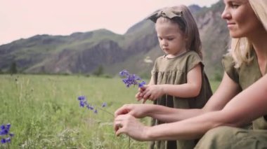 Anne kızıyla birlikte Altai 'deki dağların arka planında yeşil bir çayırda mavi çiçekler topluyor.