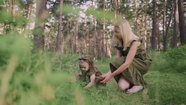 母と娘はアルタイの牧草地で森の中で果実を選ぶ — ストック動画